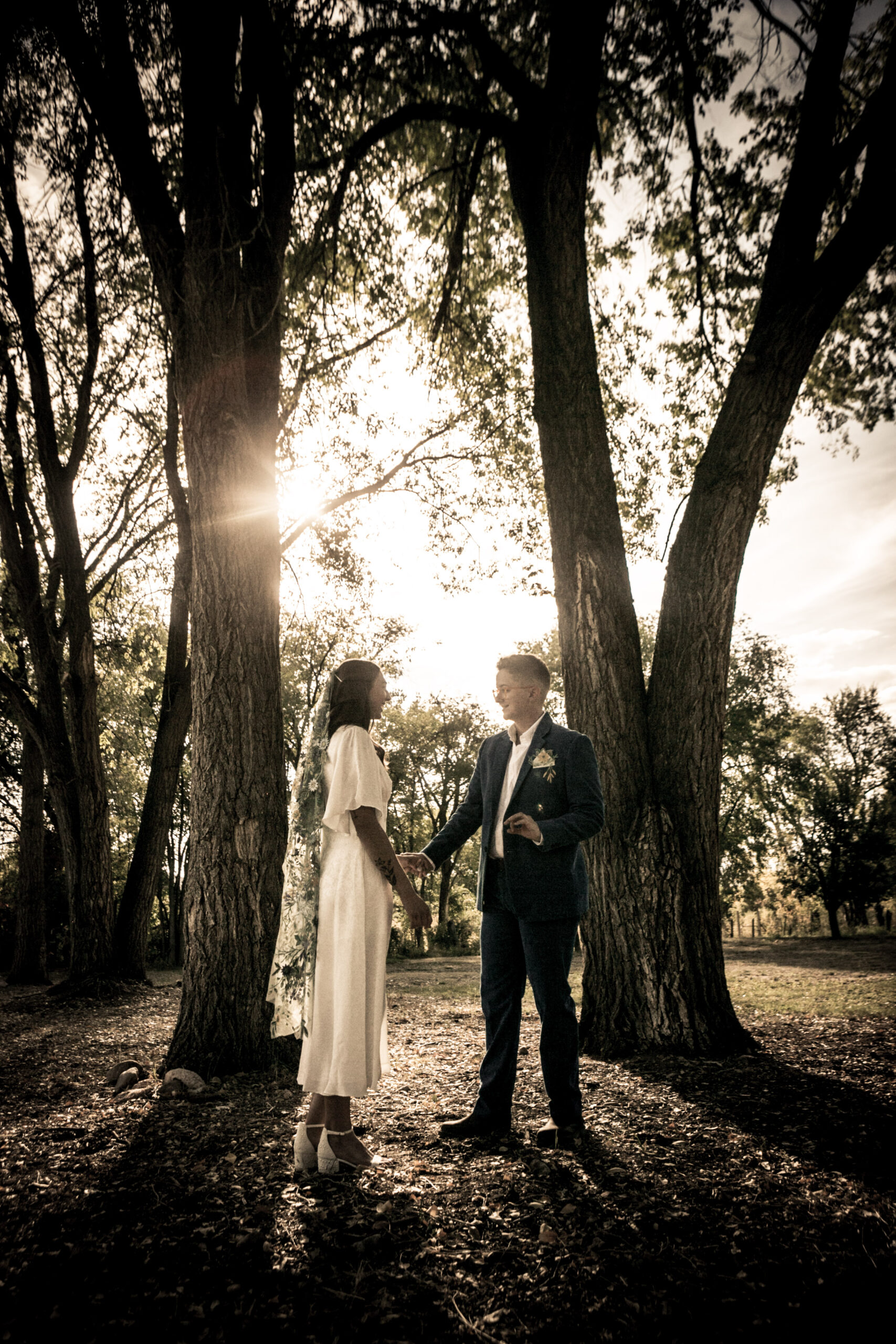 A couple stands hand in hand in a quiet forest, bathed in golden sunlight as they share an intimate moment.