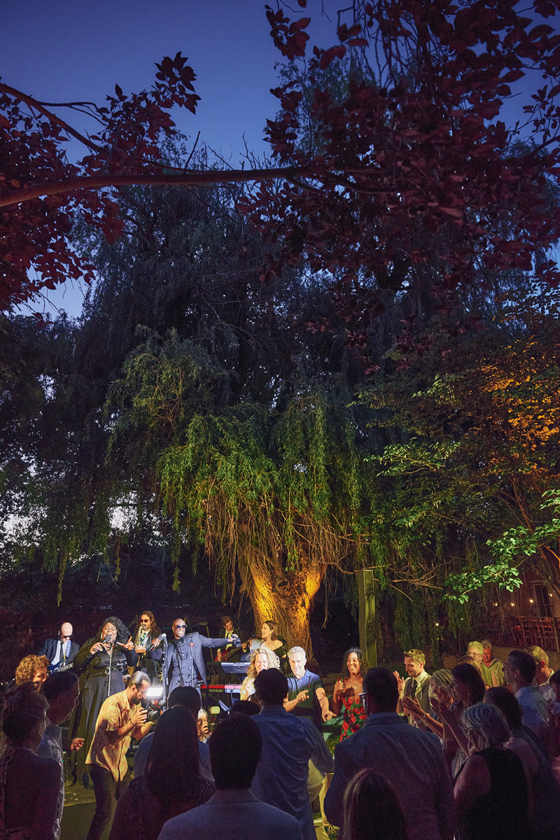 Large tree lit up for backyard wedding reception.