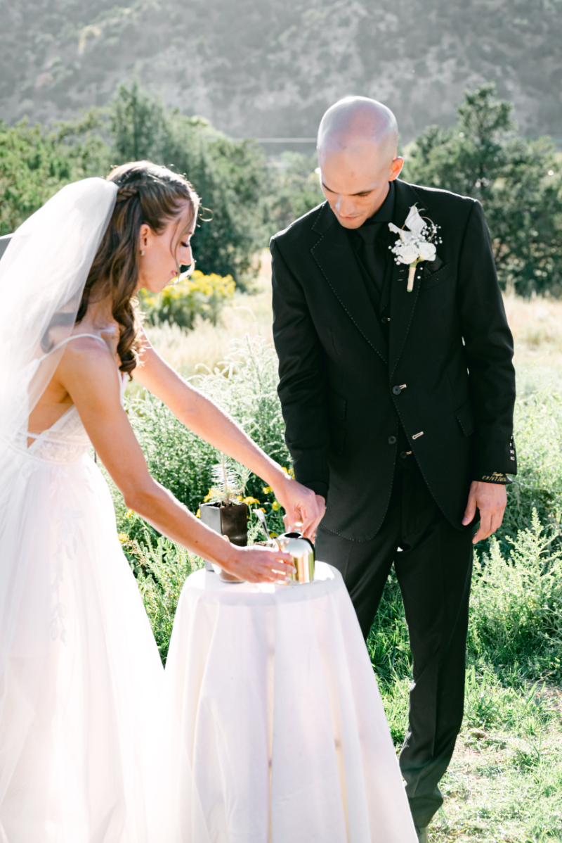 Bride and groom pour water from gold watering can into a tree they planted for a unity ceremony during their non-traditional nuptials.