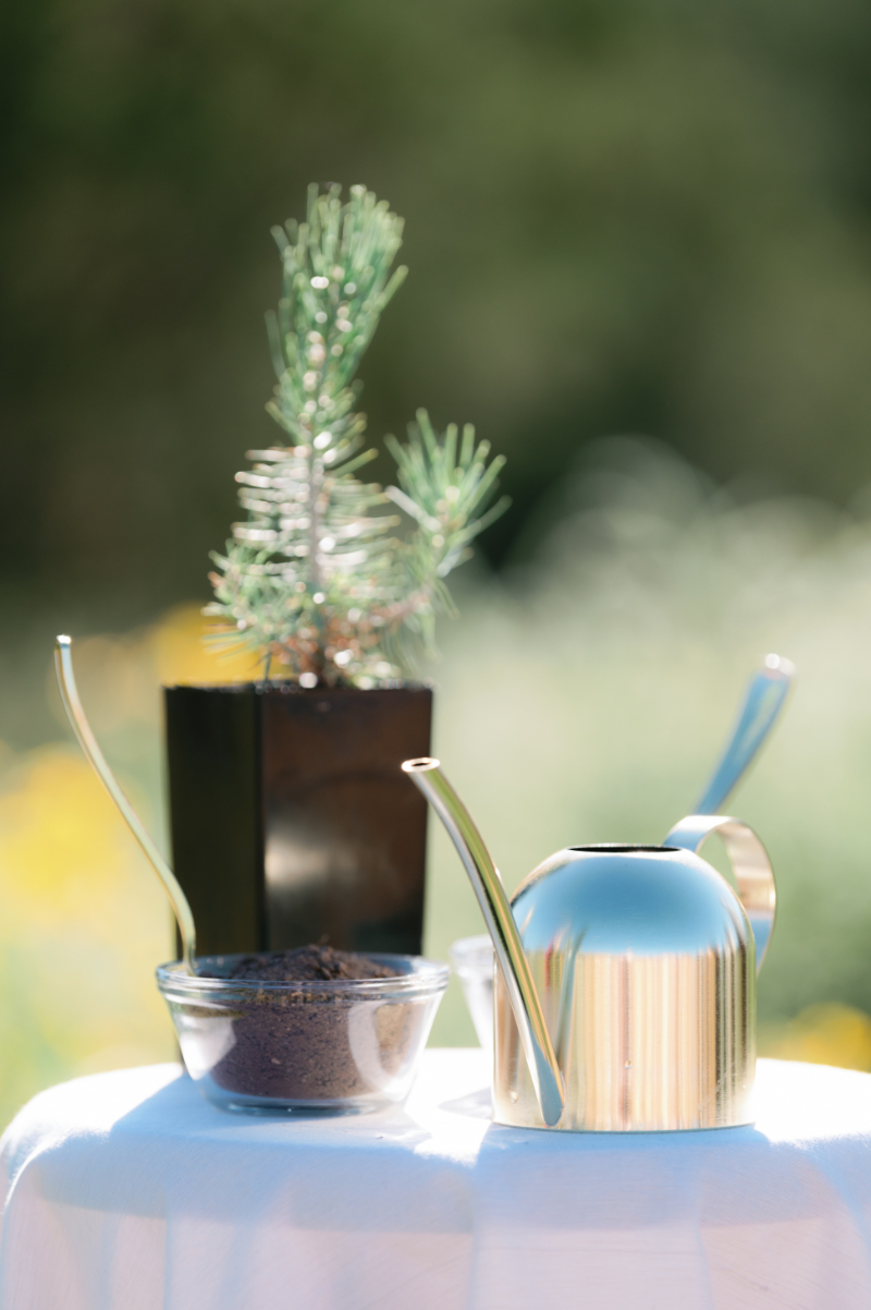 Gold watering can sitting by tree ready to be watered during unity ceremony.