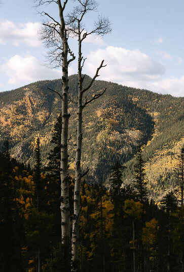 Mountain range view from many Knoxville wedding venues.